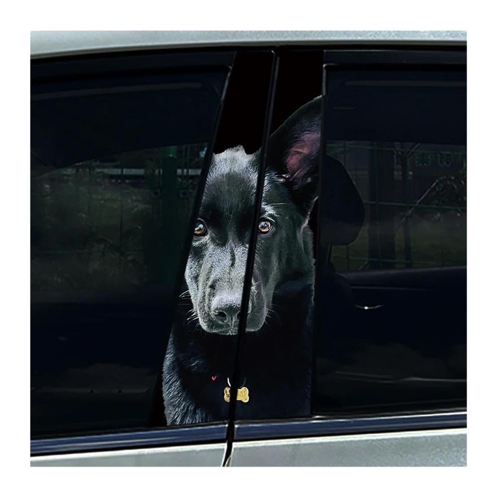 Autocollants pilier central voiture Doberman : protégez le pilier B des micro-rayures