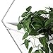 Umbra Trigg Hanging Planter Vase Wall Decor, Pot and Container for Succulents, Cactus, Faux Plants, and More, Large, White/Nickel