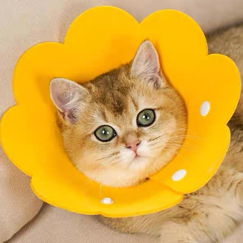 エリザベスカラー猫 犬 、猫 保護カバー、舐め防止、引っ掻き防止、Mサイズ Amazon | エリザベスカラー猫 犬 、猫 保護カバー、舐め防止、引っ掻き