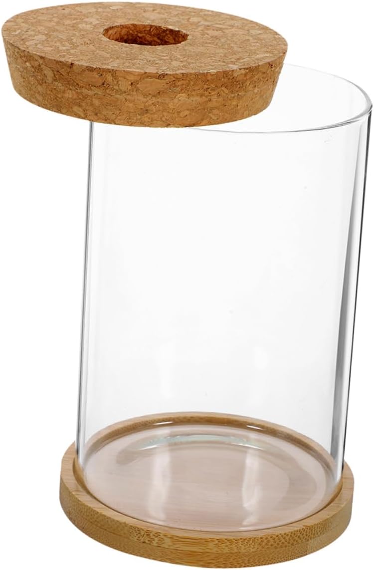 Cabilock Sets DIY Flower Plant Glass Terrarium Lid Sturdy Micro-Landscape Bottle for Home Decor