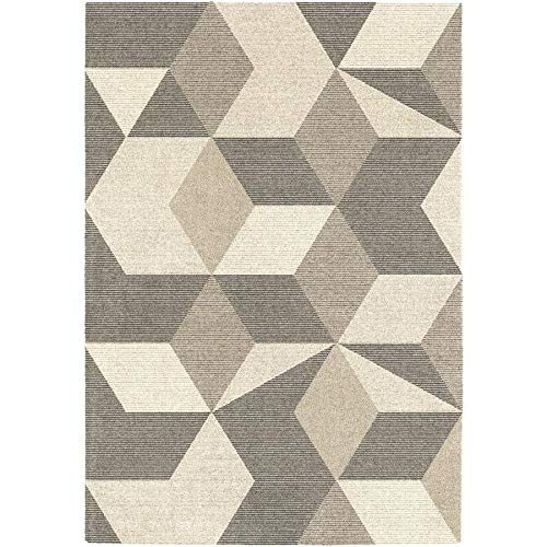 Allen Roth Rugs Review 2024 House Yard Love