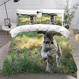Chien Braque Allemand à Poil Court Housse de Couette 140x200 Parure de lit 1 Personnes Enfant 3D Motif Chien Animal 3 pièces Microfibre Literie avec Fermeture Éclair et 2 Taies d'oreiller 50x75