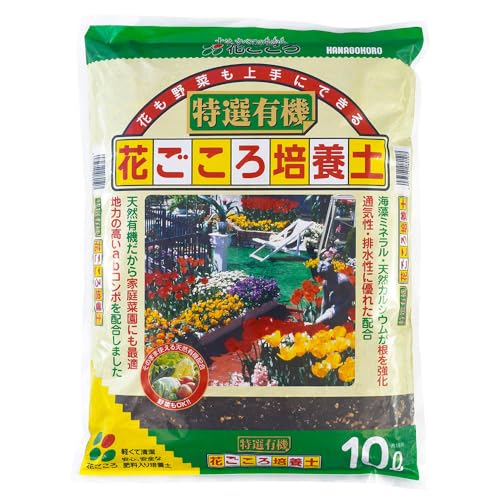 Ԃ IL@Ԃ|{y C~lAVRJVE 10L