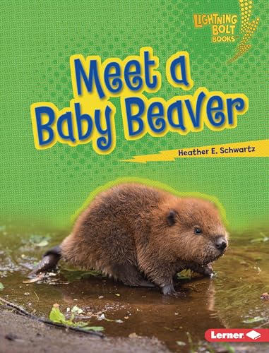 Meet a Baby Beaver (Lightning Bolt Books ® ― Baby North American Animals)