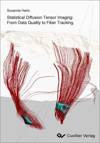 Statistical Diffusion Tensor Imaging: From Data Quality to Fiber ...