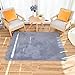 Price comparison product image QUANHAO Area Rugs for Living Room, Fluffy Shaggy Super Soft Carpet Suitable as Bedroom Rug Nursery Rugs Kids Mat, Large Floor Mat Furry Plush Rug for Home Decor (gray, 60x90cm)
