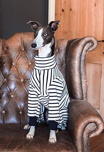 lurcher onesie
