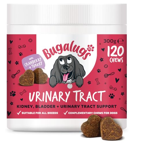 Bugalugs Urinary Tract Dog Chews helps stop dogs urinating in house & dog incontinence. supports UTI Bladder & Kidney with Cranberry D-Mannose & Marshmallow root. Grain free dog treats -120 chews