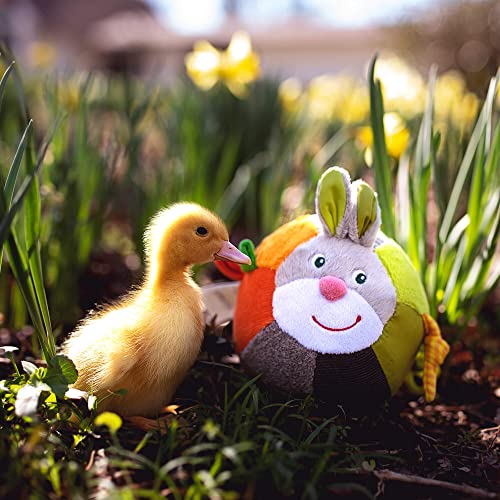 Haba Easter Baby Bundle - Includes Bunny Teether, Cuddly Lovey And Chiming Ball With Rabbit Ears #TOP5