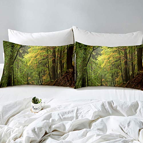 Forest Bedding Set King Size Autumn Forest Comforter Cover Trees Foggy Print Duvet Cover Set including 2 Pillowcases Soft Microfiber Zipper Decorative Woodland Scene Quilt Cover 3 Piece Lightweight - Image 4