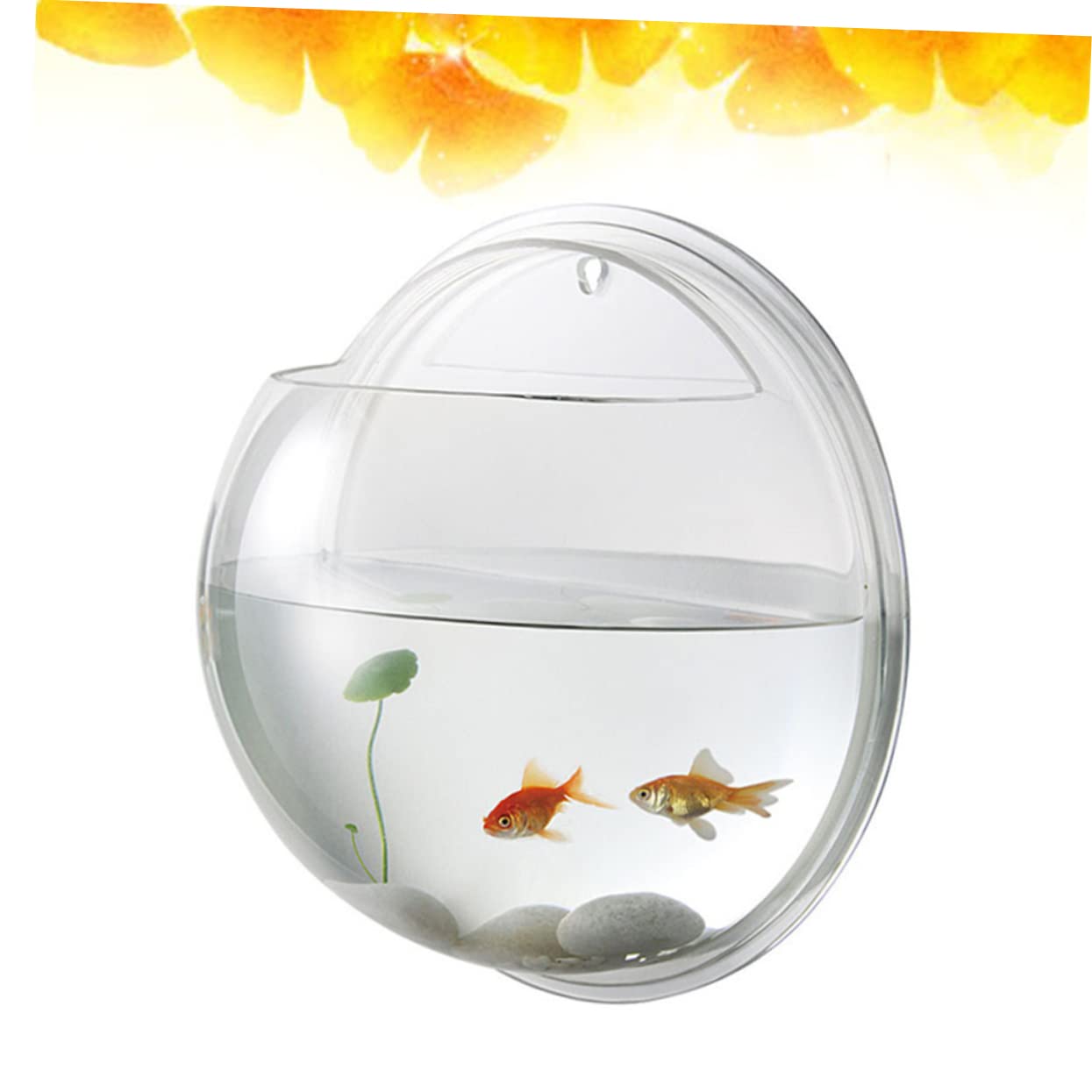 Toddmomy 3 Pièces Aquarium De Poissons Bols À Poissons pour Betta Cylindre De Poisson Aquarium Réservoirs D'Aquarium Suspendus en Acrylique Transparent Bol À Poisson Mural Bol D'Aquarium