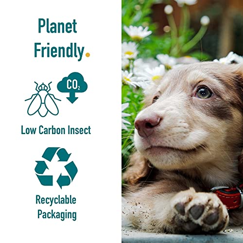 Percuro-Snappies-120g-Oven-Baked-High-Protein-Dog-Treats-Hypoallergenic-No-Animal-Livestock-Ingredients-Hypoallergenic-Insect-Protein-No-Artificial-Additives-Sustainable