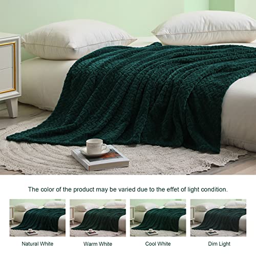 Exclusivo Mezcla Large Flannel Fleece Throw Blanket, 50X70 Inches Soft Jacquard Weave Leaves Pattern Blanket For Couch, Cozy, Warm, Lightweight And Decorative Forest Green Blanket #TOP2