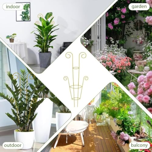 Enrejado de metal fácil de instalar para organizar plantas trepadoras en casa 3