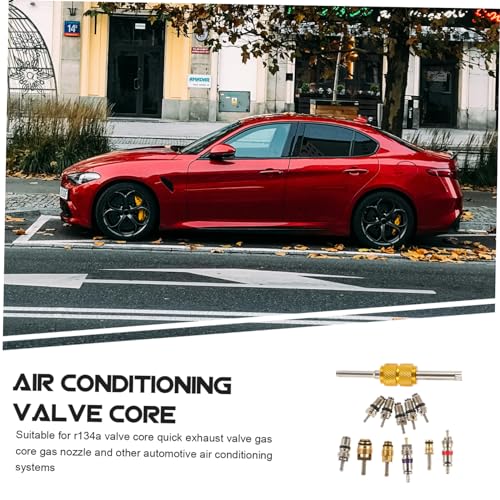 Kit 12pc para extracción núcleo de válvula A/C automotriz miniatura 7