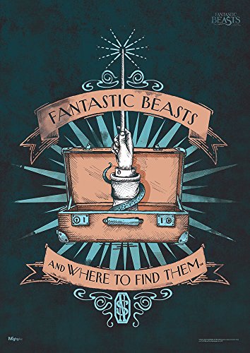 MIGHTYPRINT Fantastic Beasts: Where Find Them Newt Wand 17 x 24 Wall Art