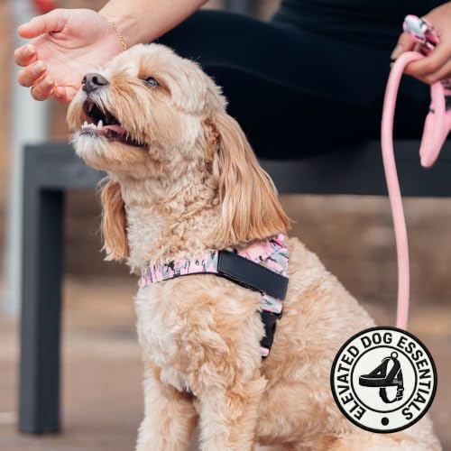 Image of Dog Friendly Co. Dog Harness for Medium Dogs (Pink Camo, Medium)