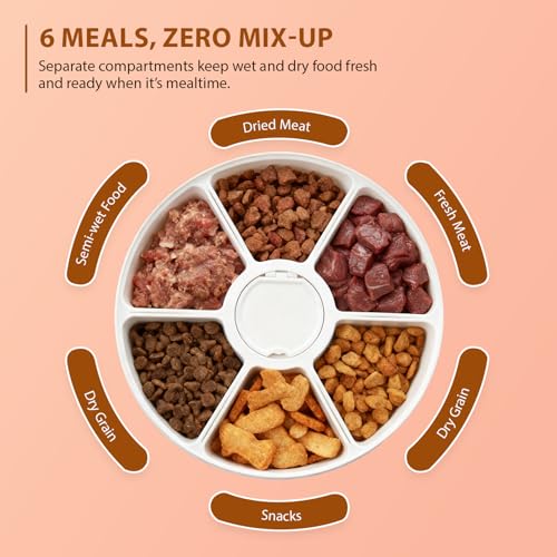 Image of Amazon Basics Automatic Rotating Tray Pet Feeder | 6-Meal Timer | Programmable Feeding with LED Display | Portion Control for Cats & Dogs | White (Plastic) (Standard)