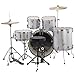 Ludwig Accent Drive Series LC175 Complete Drum Package with Cymbals, Hardware, Drum Throne, Chain-drive Pedal and Sticks (Silver Foil)