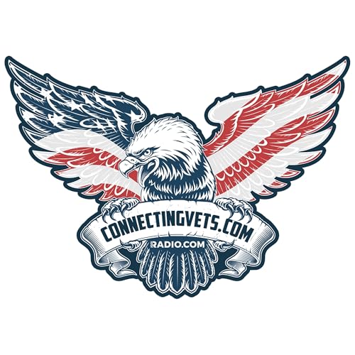 Couverture de Connecting Vets