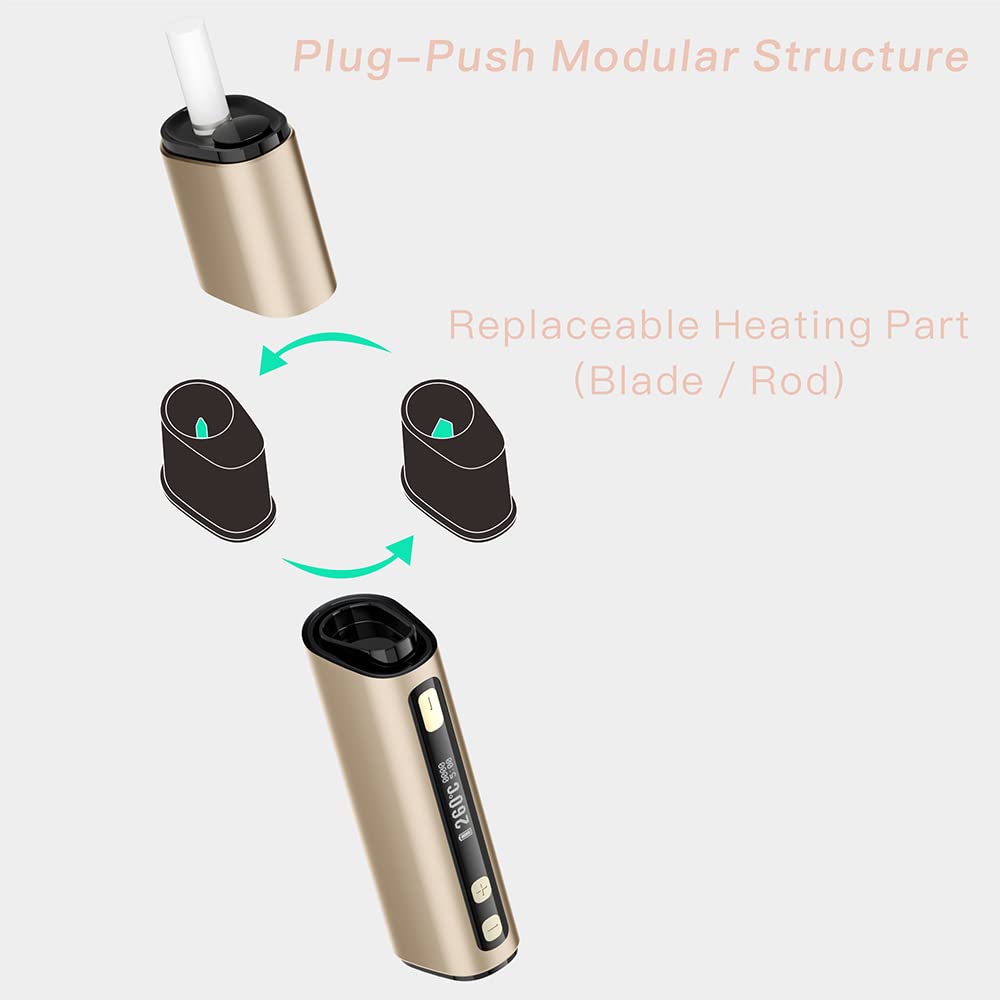 LAMBDA Dual Heat Not Burn Device 3200 mAh OLED Display Einstellbare Temperatur Heizung Gold