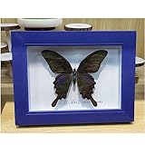 Véritables papillons naturels encadrés par taxidermie – Taille du cadre : 12,7 × 17,8 cm. Ce cadeau artisanal comprend 1 véritable spécimen de papillon, réaliste et beau, chaque spécimen de papillon est unique, vous trouverez qu'il est incroyable sous un mircroscope.