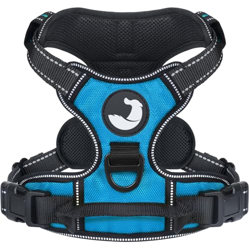 Joytale Dog Harness Small Dog No Pull Harness for Dogs with 2 Clips