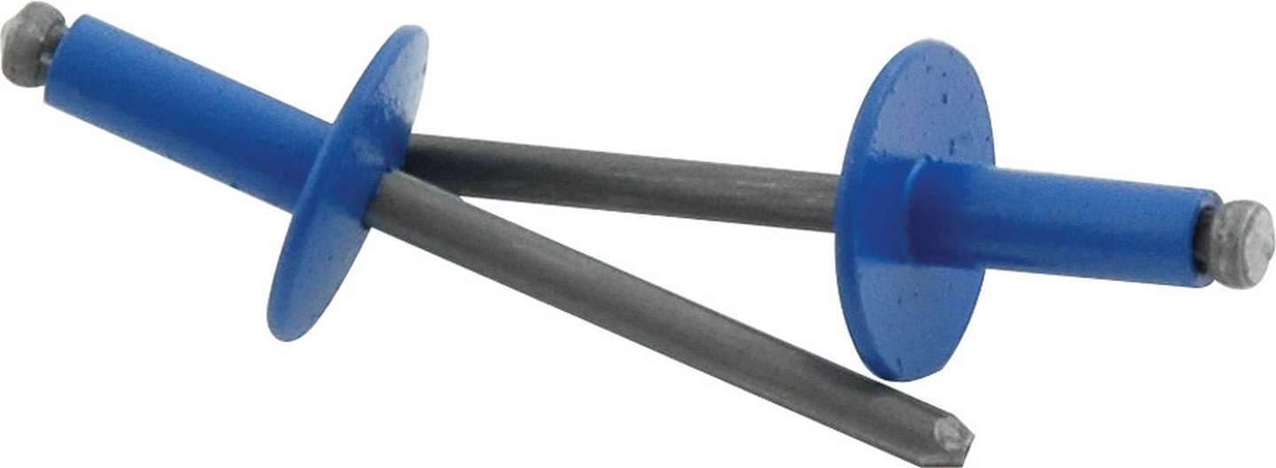 Allstar Performance ALL18176 Chevron Blue 3/16" Large Head Rivet, (Pack of 250)