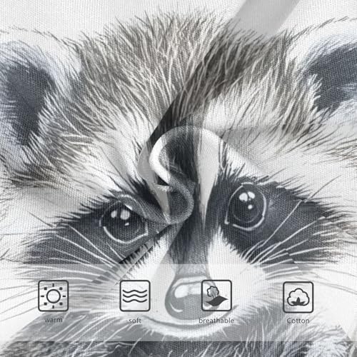 Cute Raccoon Animal Toddler Girls's Underwear 2T 202c03093