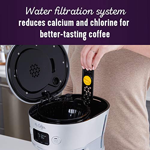 Image of Mr. Coffee Easy Measure 12 Cup Programmable Maker with Gold Tone Reusable Filter, Silver /Chrome
