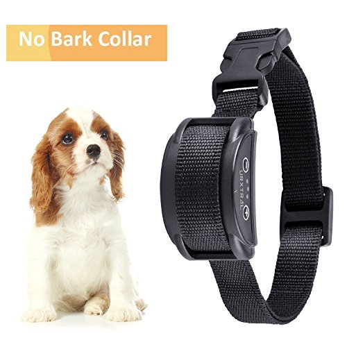URXTRAL Collar Antiladridos para Perros Pequeños y Medianos, Collar Adiestramiento, Utiliza Sonidos y Vibraciones Audibles, Correa Regulable de Nylon, Collar para Perros Pequeños