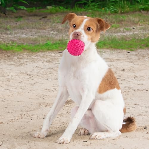 Image of Best Pet Supplies Squeaky Dog Toys with Soft Durable Fabric for Small, Medium and Large Pets Interactive Toy for Indoor Play, Supports Active Biting and Play - Fuchsia (L:3.5 inch)