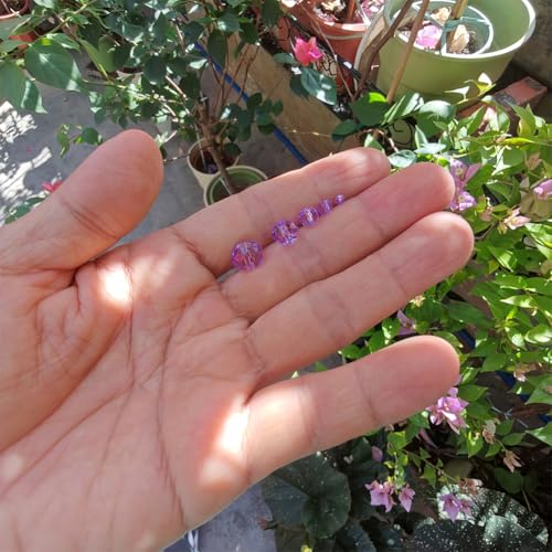 Image of Crystal Violet Rondelle Glass Beads for Jewelry Making, Faceted Briolette Crytal Spacer Beads for Bracelet Necklace Earring (2mm 4mm 6mm 8mm 10mm Mixed Sizes, 1000pcs)