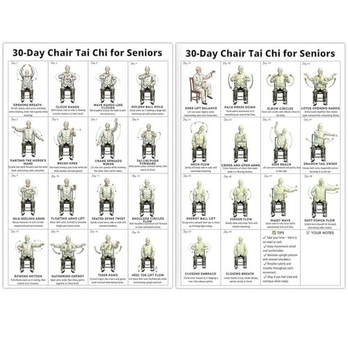 Tai Chi Chair Workout Chart Poster Print Seated Exercises for Beginners and Seniors Canvas Wall Art Living Room Bedroom Home Gym Decor Unframed