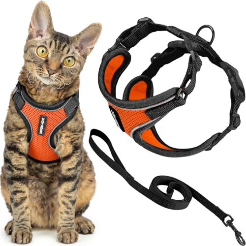 Image of Voyager Escape-Proof Step-in Lock Cat Harness & 5ft Neoprene-Handle Leash Set All-Weather Mesh with Reflective Stitching for Small to Large Cats by Best Pet Supplies, Black Trim-Orange (327), XXXS