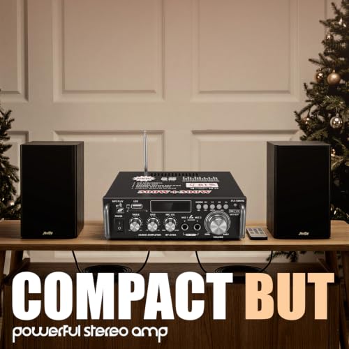 Image of FABTEC 2-Channel Karaoke Home Amplifier with Bluetooth 5.0, 300W + 300W High Power Output, USB /FM Playback, Dual Microphone Inputs, Bass & Treble Adjustment, Remote Control Included