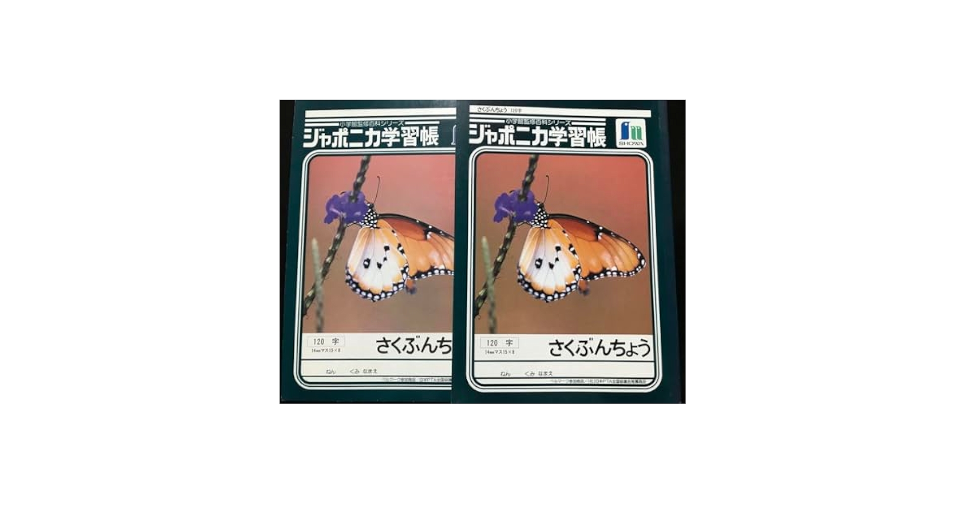 どんちゃかしゅくだいノート Amazon.co.jp: ショウワノート 大ピンチずかん じゆうちょうB