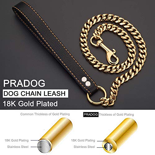 Tips for Using Gold Metal Puppy Collar