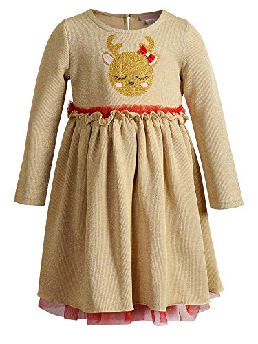 Youngland Girls' One Size Long Sleeve Glitter Knit Mesh Applique Dress