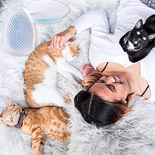 Haselnüsse aus Deutschland - 1.Wahl - Ganze Nüsse für Mensch und Tier! Oder als Nagetierfutter, Tierfutter, Futter für Eichhörnchen, Streifenhörnchen, Nagetiere und Papageien - 3 Kg