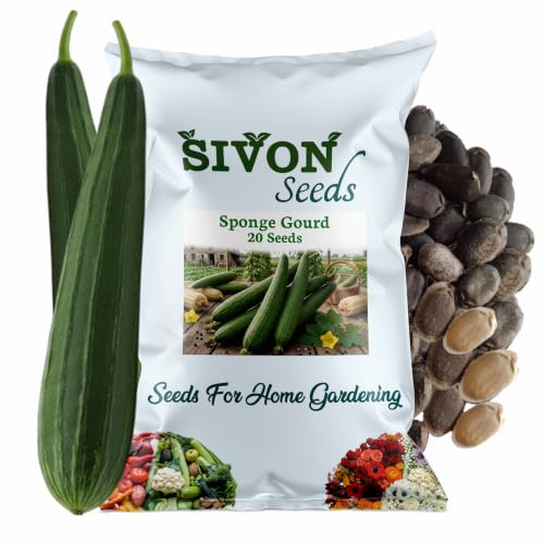 Image of SIVON Sponge Gourd (Nenua) (20 Seeds) Vegetable Seeds for Home Garden, Organic & Hybrid, Perfect for Home Gardening, Planting For Pots and Patio