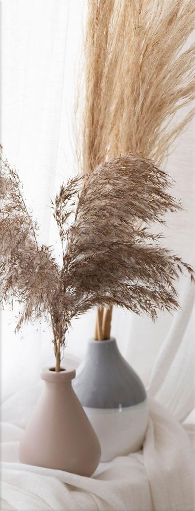 artissimo Bild aus Glas 30x80 cm Stillleben AG5457A – modernes Glasbild Wandbild Hochformat, Wanddeko Wohnzimmer beige natur, Pampas Boho Stil