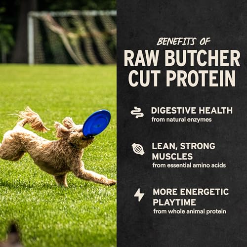 vital essentials single ingredient beef liver dog treats 21 oz  freeze-dried raw  premium quality high protein training treats  grain free gluten free filler free