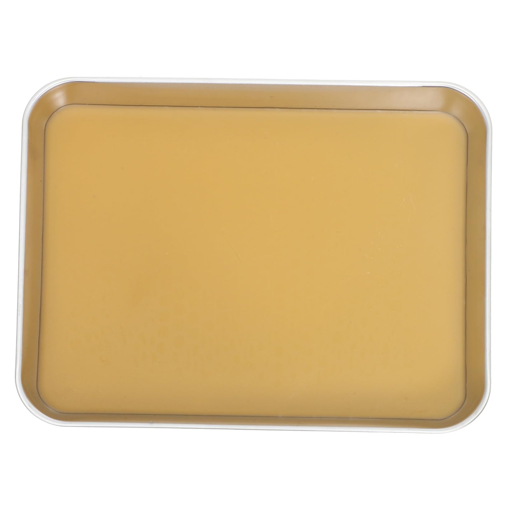 Cabilock Vassoio da Dissezione in Acciaio Inox con Cera per Laboratorio Biologico Design Preciso e Bordi Arrotondati Antinfortunistici Strumento Versatile per Studi Anatomici Scuola Media e