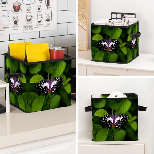 Boîte pliable papillon vert pour placard et chambre à coucher ordonnée - 8