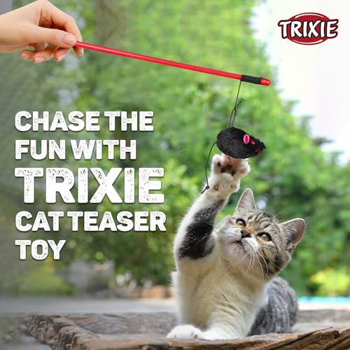 Image of TRIXIE Cat Fishing Rod Toy with Plush Mouse, Interactive Teaser Stick for Cats, Play Activity Accessory for Exercise, Hunting Instinct Training and Fun
