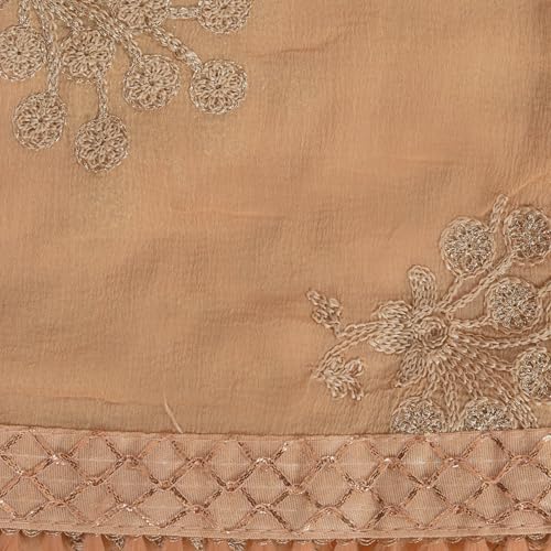 Image of YOUTHQUAKE Heavy Embroidered Work Chiffon Dupatta for Womens & Girls With Fancy Lace