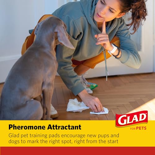 Image of Glad for Pets Extra Large Charcoal Training Pads for Dogs and Puppies, Activated Carbon Odor Control, 6-Layer Absorbent Leak-Proof Pee Pads with Pheromone Attractant, 28 x 30 in, 30 Count - 2 Pack