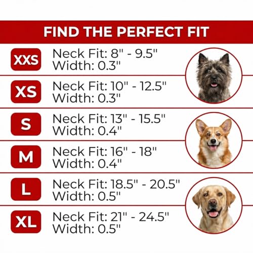 Collar para perro de cuero suave WAUDOG miniatura 6