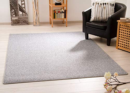 Steffensmeier Alfombra Meddon XL | Robusta eslinga para comedor, cocina, pasillo, oficina, en gris plateado, buen sello, tamaño: 80 x 150 cm